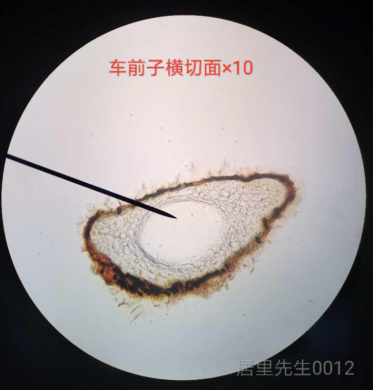 鍥剧墖5.jpg