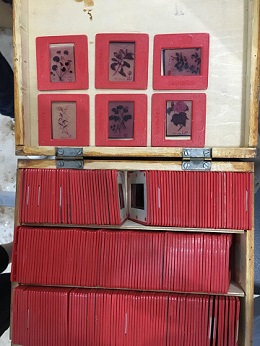 鍥剧墖5.jpg