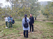 鍥剧墖1.png 鍥剧墖1.png