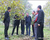 鍥剧墖2.png 鍥剧墖2.png
