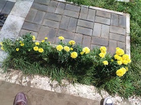 寰俊鍥剧墖_20191031121851.jpg