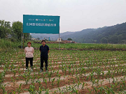 鍥剧墖3.png