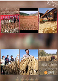 鍥剧墖3.png 鍥剧墖3.png