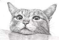 8.png 8.png