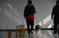 鍥剧墖3.png
