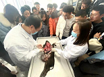 鍥剧墖1.png