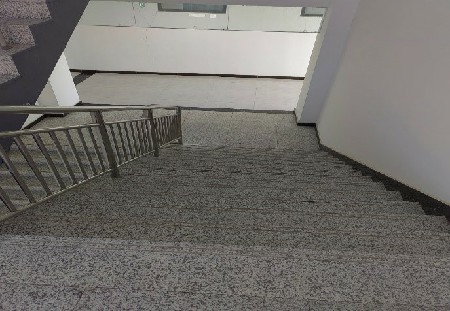 11.jpg 11.jpg